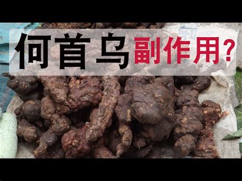 首烏藤副作用|何首烏